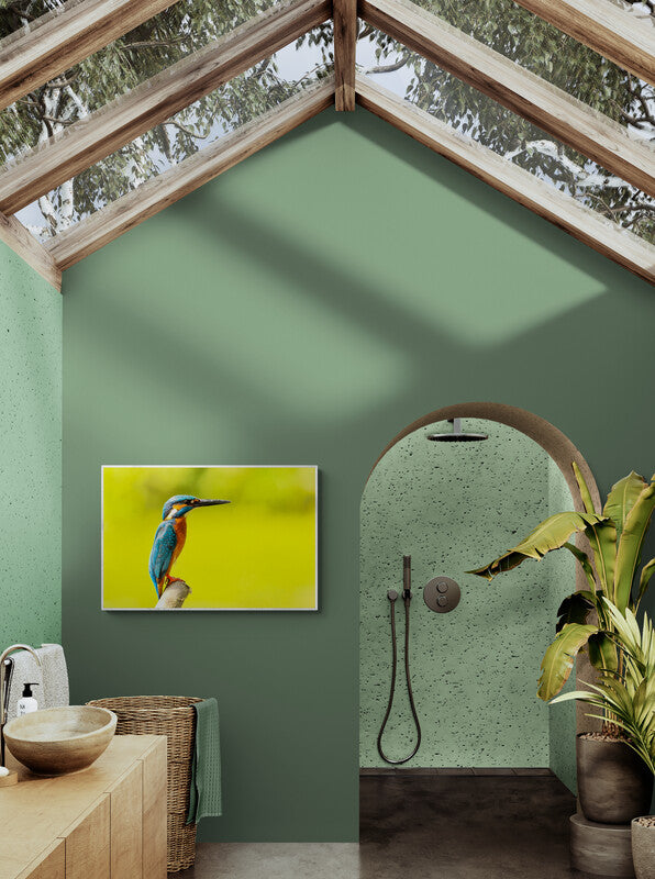 Animal Themed Wall Art Ideas: Kingfisher